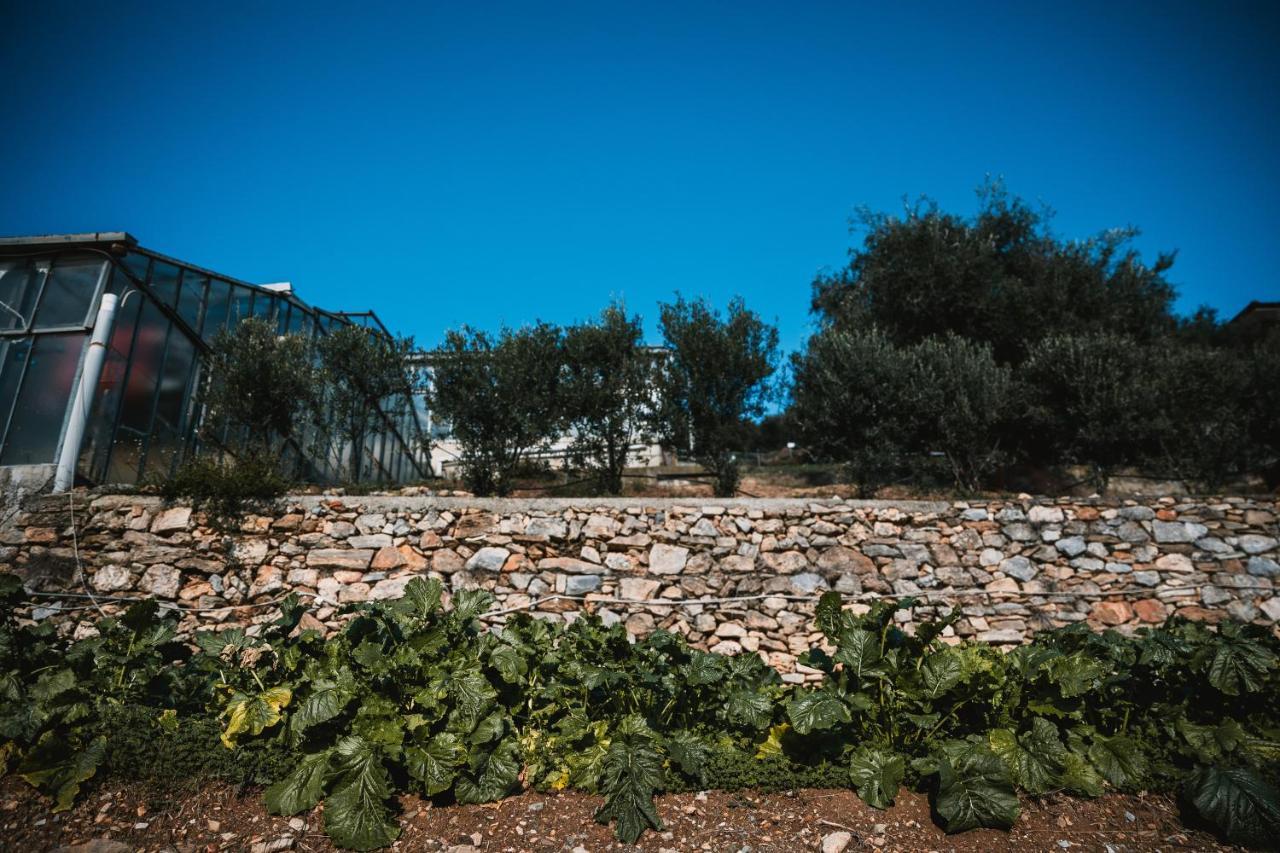 Agriturismo Rose Di Pietra Pietra Ligure Exteriör bild