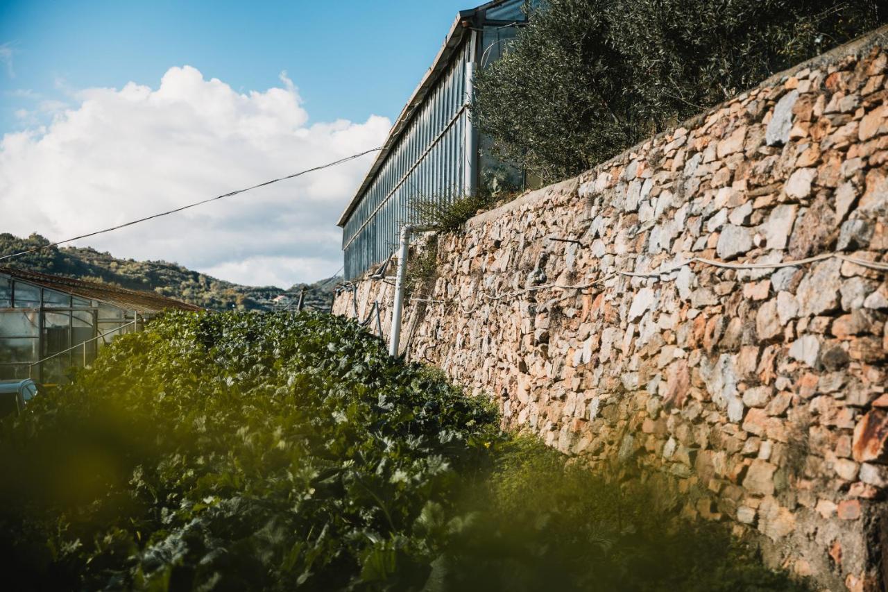 Agriturismo Rose Di Pietra Pietra Ligure Exteriör bild
